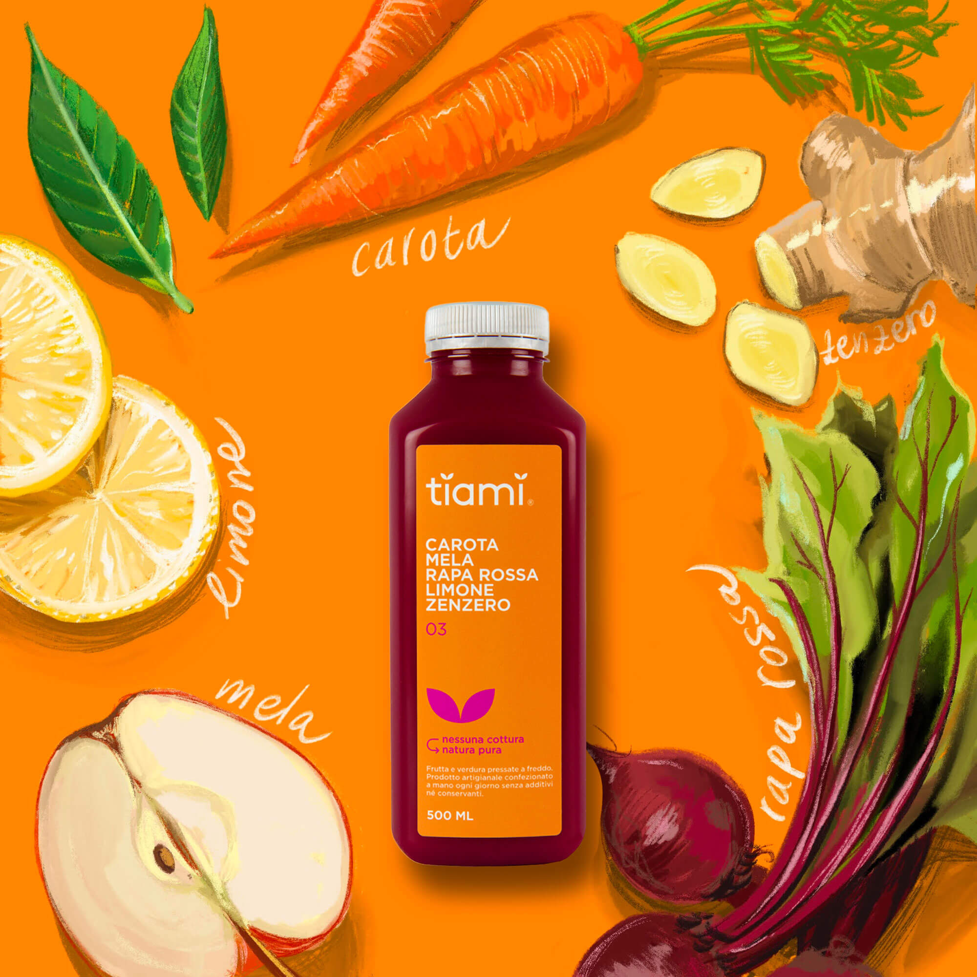 Graphic e Brand design 9 Illustrazione creata per tiami